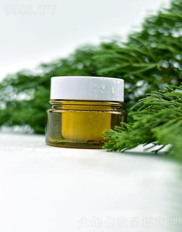 �WȪ�����ݱ������  �I(y��ng)�B(y��ng)�ޏ�(f��)