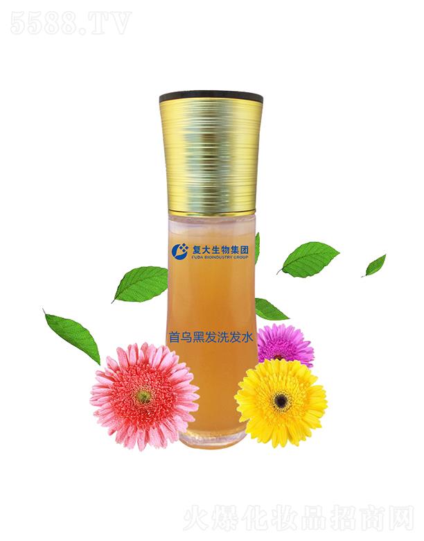 ɽ�|�ʹ�����Ƽ����޹�˾���ʹ����Ｏ�F�מ��ڰl(f��)ϴ�l(f��)ˮ���ӹ�