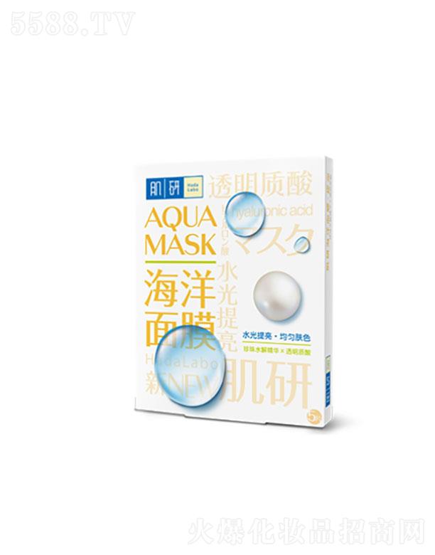 �����׶�   ���к�����Ĥ������)   �����wɫ