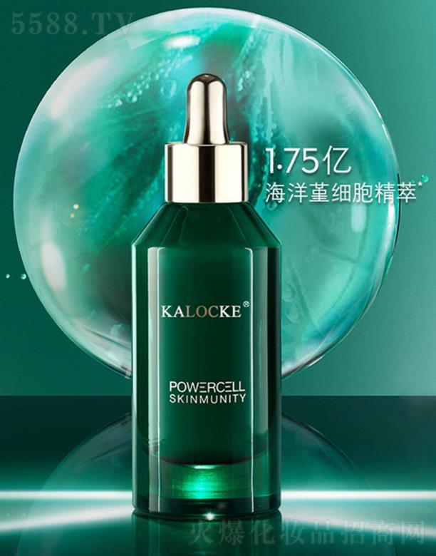 KALOCKE�G��ƿ���A