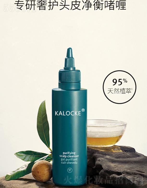 KALOCKE�������o�^Ƥ���↨�