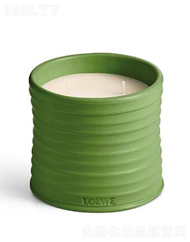 �_������̖���㶹�㾫Ϟ�T