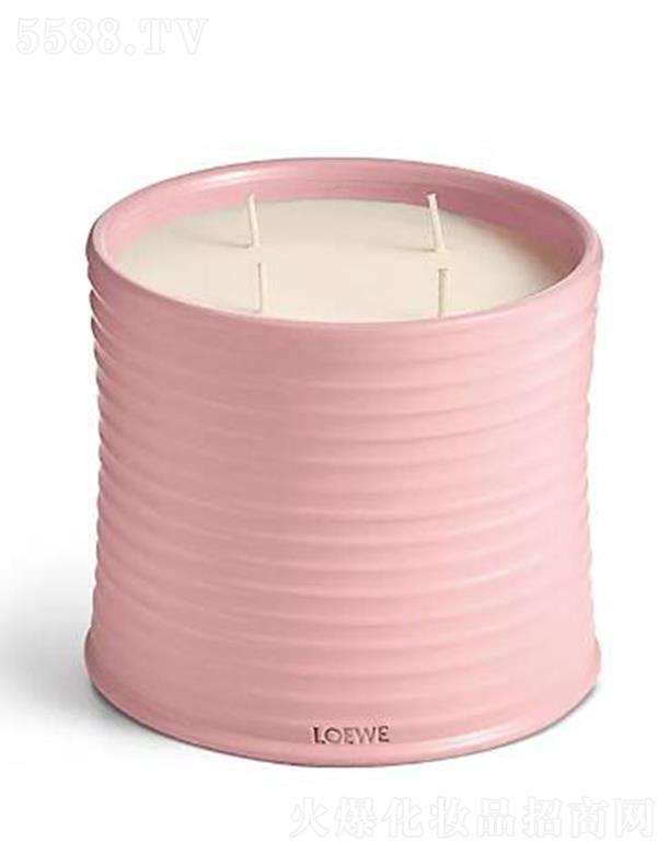 �_������̖�������㾫Ϟ�T