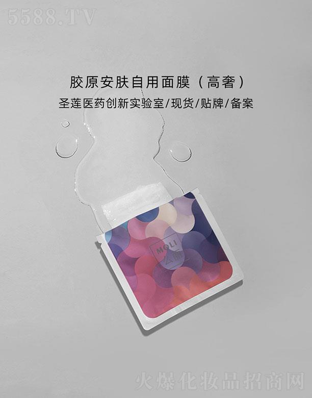 �V��ʥɏ  ʥɏ�zԭ���w����Ĥ   �a(b��)ˮ�̝�(r��n)