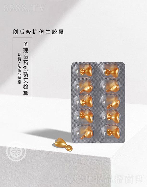 �V��ʥɏ   ʥɏ��(chu��ng)�����o(h��)�����z��   ���o(h��)���w