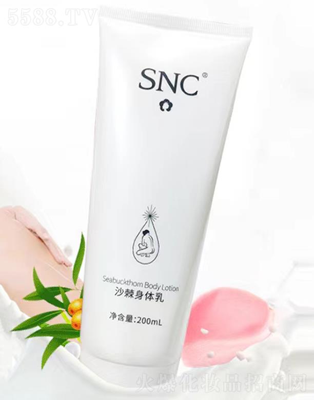 SNCɳ�����w��