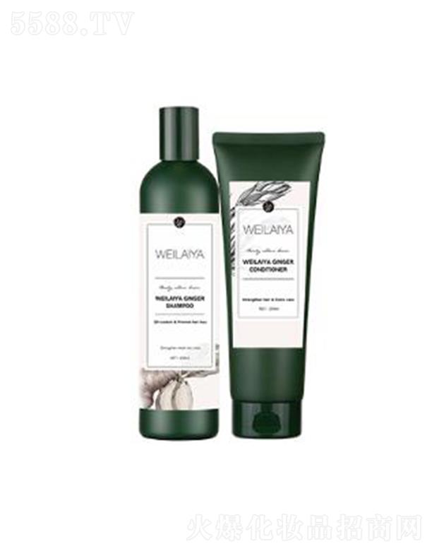 ���R�Ž���ϴ�o(h��)���b