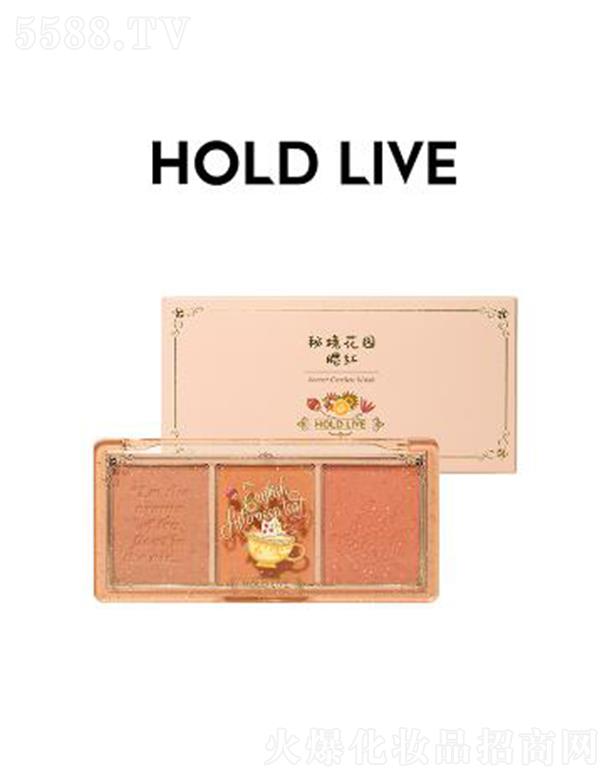 HOLD LIVE �ؾ����@���t