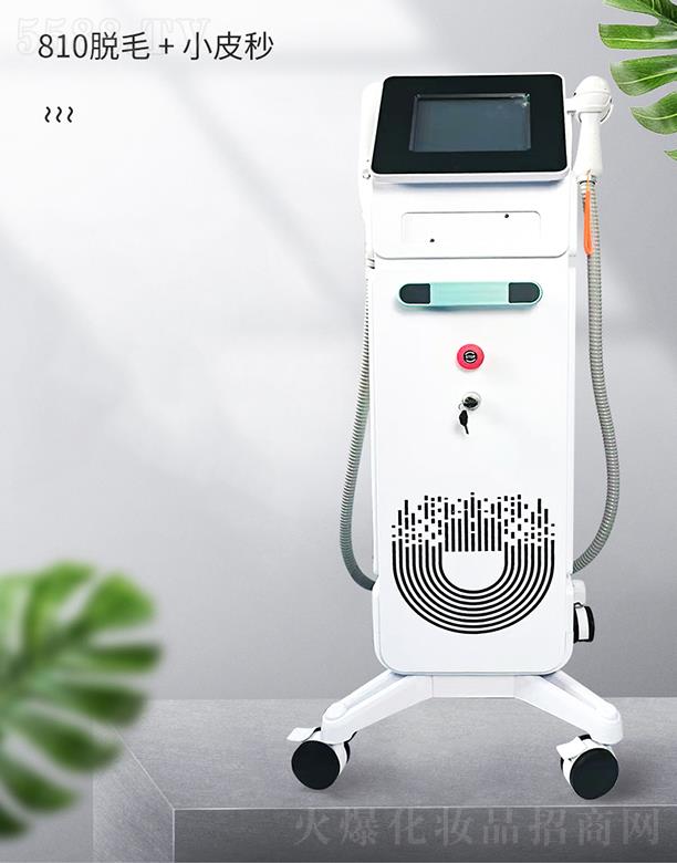 �V�ݳ���810Óë�x