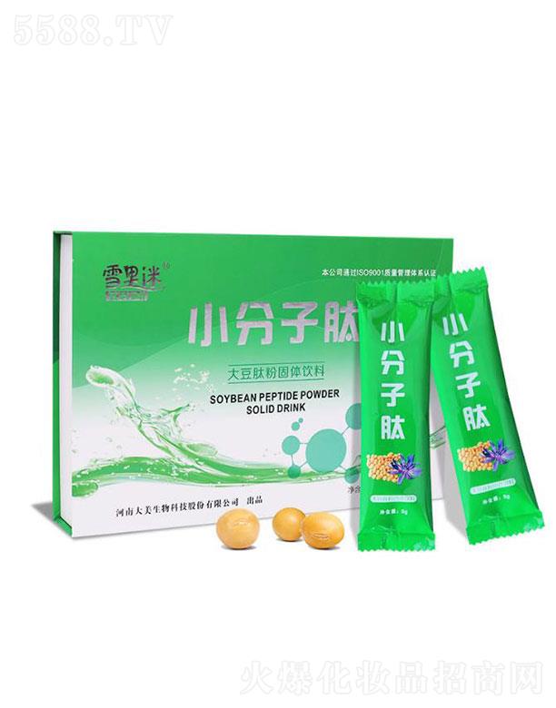 ѩ����С�����Ĵ���