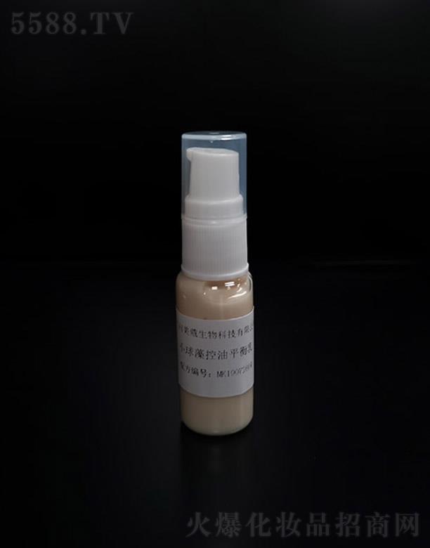 ��ޢС����ƽ����