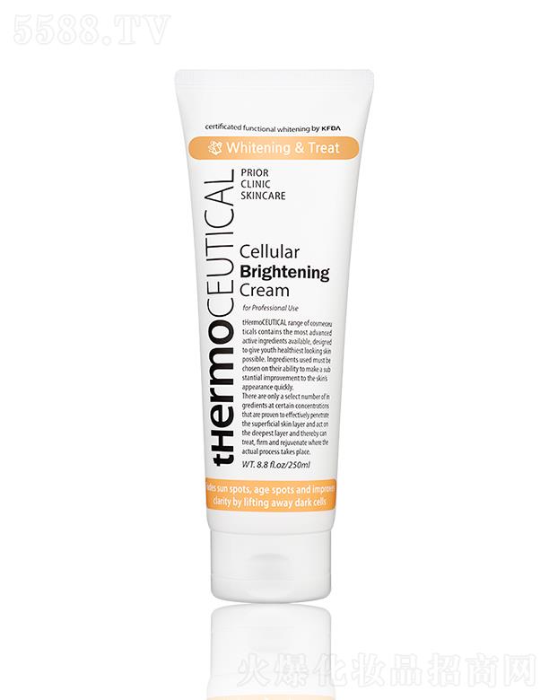 ��������������˪