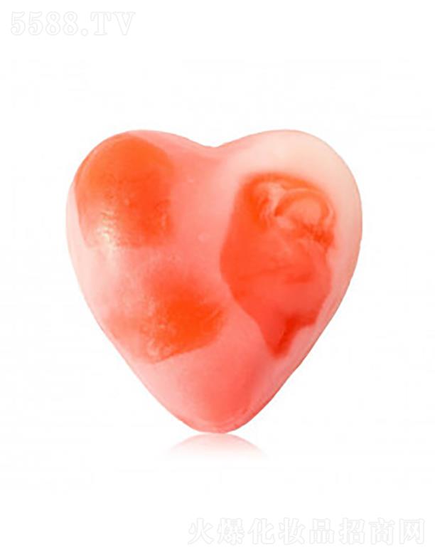 STENDERSľ�m֮�������