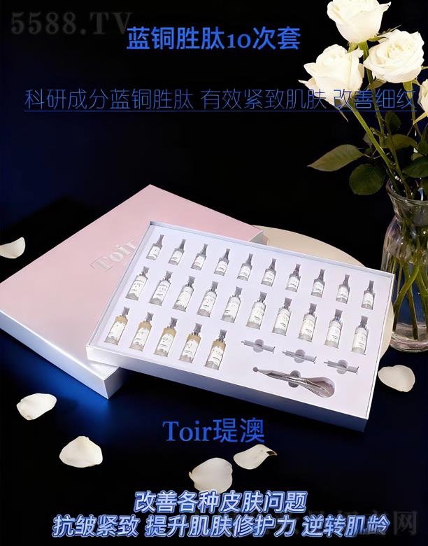 �v���{(l��n)�~����10����