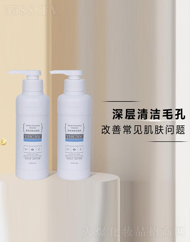 YHCSS��̓������