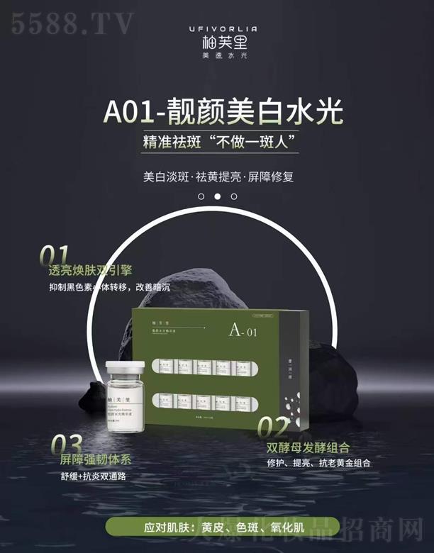 �ɶ�ʥ�������ݿƼ����޹�˾����ܽ��A01-�n�����ˮ��