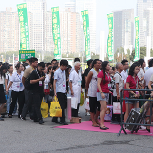 2019�������I(y��)���[��(hu��)���𱬾W(w��ng)�F(tu��n)�(du��)����������