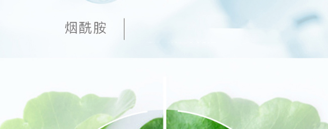 ѩ�m��ˮ��ԭҺ�{(di��o)�w��Ĥ