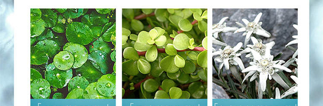 �f(xi��)�͸߿ƽ�ĸֲ�;��A¶