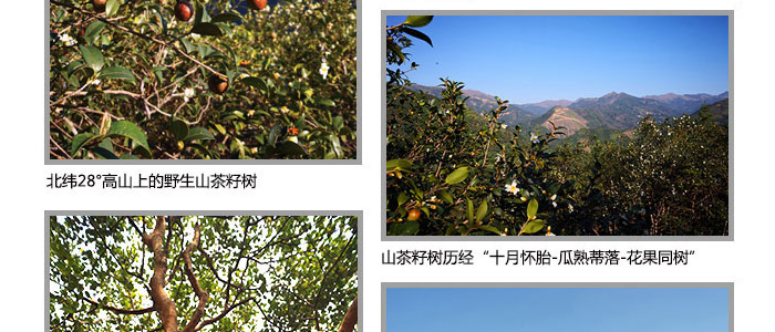 ���ϼ���-�Ř�ɽ����ϴ�l(f��)��