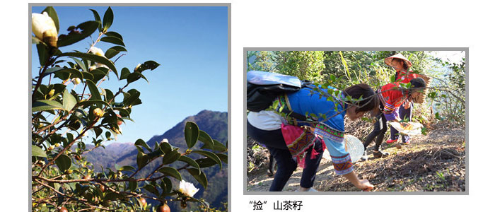 ���ϼ���-ɽ�����{(di��o)������