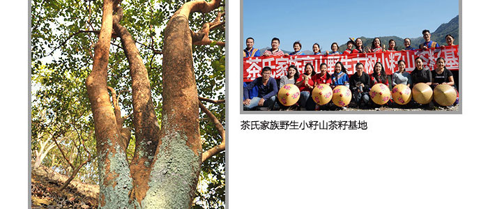 ���ϼ���-ɽ�����{(di��o)������