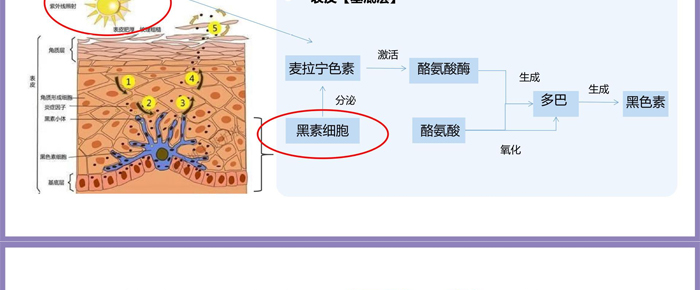 ����׺�OEM_ODM