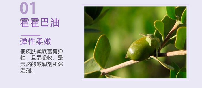 �S�c�ʗ�ѩɏ����͸�������_13