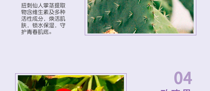 �S�c�ʗ�ѩɏ����͸�������_16