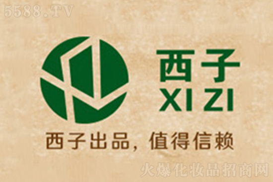 �V����������Ƽ����޹�˾