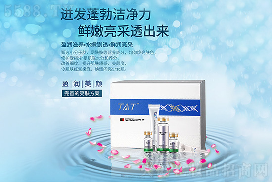 TATӯ������׺�