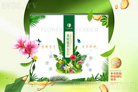 醫(yī)施美花間凝萃修護(hù)套 醫(yī)施美花間凝萃修護(hù)套