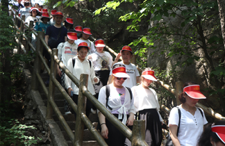 ������Ӗ(x��n)