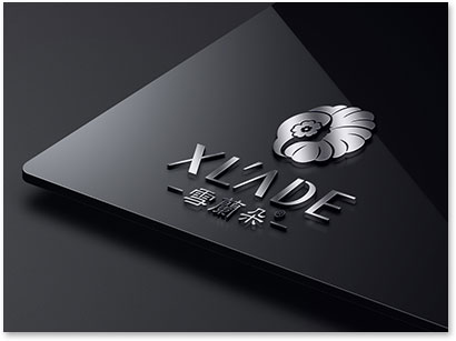 �ɍ�����Ƽ����V�ݣ����޹�˾